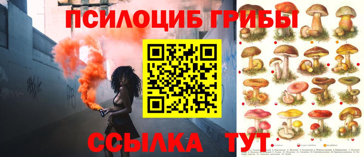 Псилоцибиновые грибы мухоморы Тамбов
