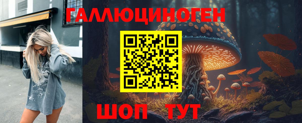 Тамбов  Псилоцибиновые грибы мицелий  купить  цена  Вход с VPN 