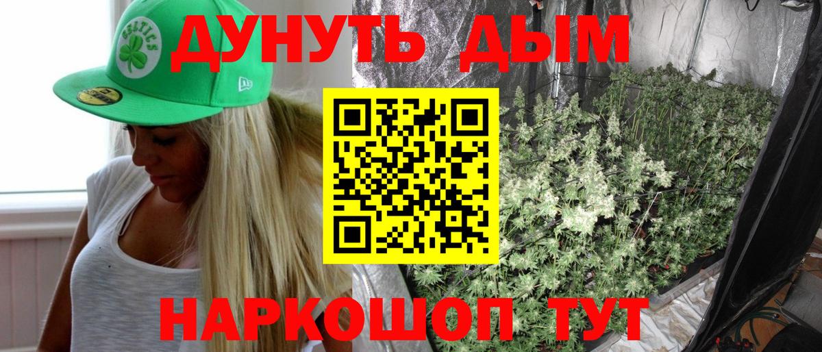 Каннабис Bruce Banner  Вход с VPN  Конопля конопля  Тамбов 